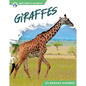 Giraffes - Library Binding