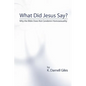 What Did Jesus Say?: Why The Bible Does Not Condemn Homosexuality - Paperback