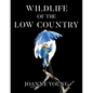 Wildlife of the Low Country - Paperback