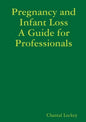 Pregnancy and Infant Loss: A Guide for Professionals - Paperback
