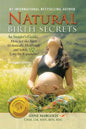 Natural Birth Secrets: An Insider's Guide...How to Give Birth Holistically, Healthfully and Safely, & Love the Experience! - Paperback