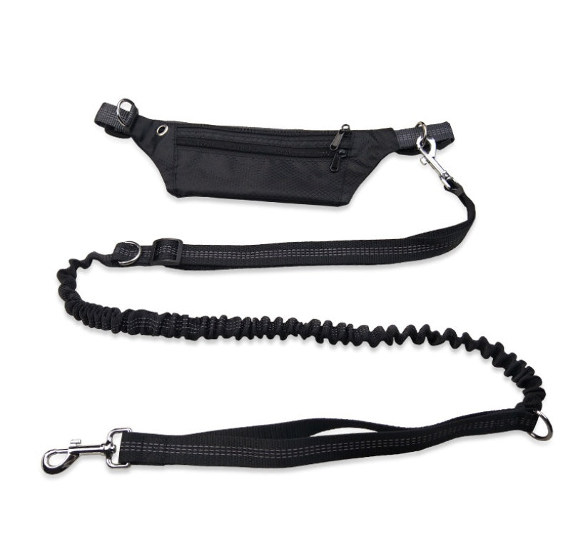 Dog collar without hands