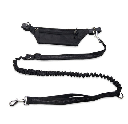 Dog collar without hands