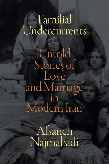 Familial Undercurrents: Untold Stories of Love and Marriage in Modern Iran - Paperback