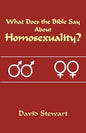 What Does the Bible Say about Homosexuality? - Paperback