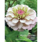 Mostly Zinnias: Flower Photos Pre and Post Hurricane Ida - Paperback