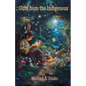 Gifts from the Indigenous: Six Awarenesses & Six Doings - Paperback