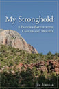 My Stronghold, A Pastor's Battle with Cancer and Doubts - Paperback
