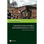 Industrial Clusters and Micro and Small Enterprises in Africa: From Survival to Growth - Paperback