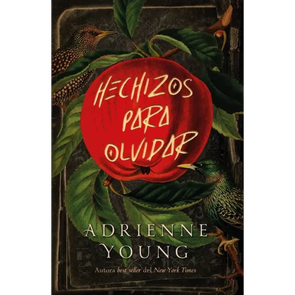 Hechizos Para Olvidar - Paperback