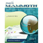 Math Mammoth Grade 1 Skills Review Workbook Answer Key - Paperback