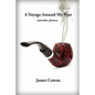 A Voyage Around My Pipe and Other Fictions - Paperback