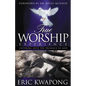 True Worship Experience - Paperback