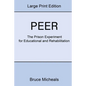 Peer: The Prison Experiment For Rehabilitation and Education - Paperback