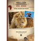 Roadbook Adventure: Africa Botswana Central Kalahari Game Reserve - Paperback