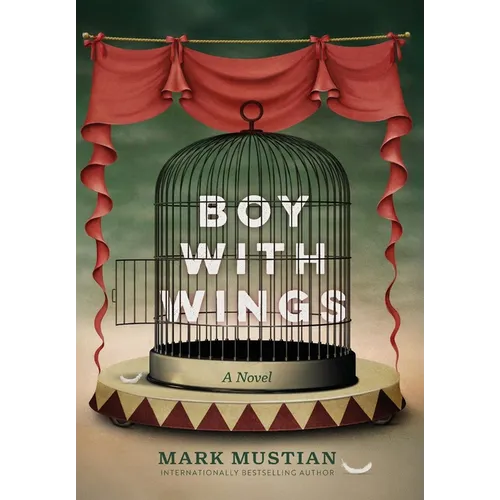 Boy With Wings - Hardcover