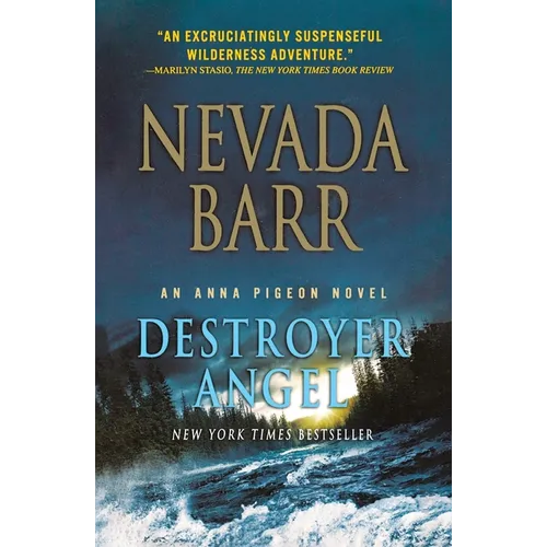 Destroyer Angel - Paperback