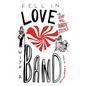 Fell in Love with a Band: The Story of the White Stripes - Paperback