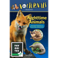 The Nocturnals Nighttime Animals: Awesome Features & Surprising Adaptations: Nonfiction Early Reader - Hardcover
