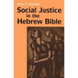 Social Justice in the Hebrew Bible: What Is New and What Is Old - Paperback