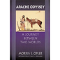 Apache Odyssey: A Journey Between Two Worlds (Revised) - Paperback