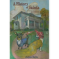 A History of Saints - Paperback