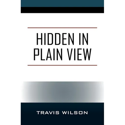 Hidden in Plain View - Paperback