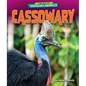 Cassowary - Library Binding