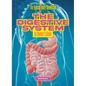 The Digestive System: An Owner's Guide - Library Binding