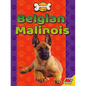 Belgian Malinois - Library Binding