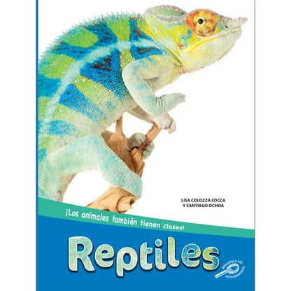 Reptiles: Reptiles - Paperback
