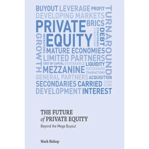 The Future of Private Equity: Beyond the Mega Buyout - Paperback