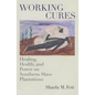 Working Cures: Healing, Health, and Power on Southern Slave Plantations - Paperback