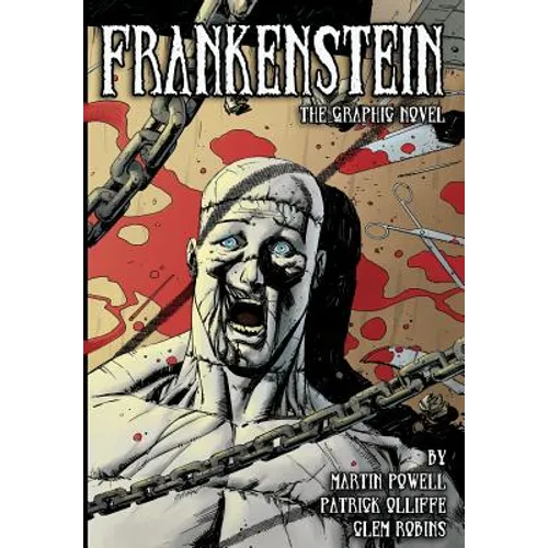 Frankenstein: The Graphic Novel - Paperback