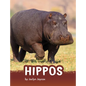 Hippos - Hardcover