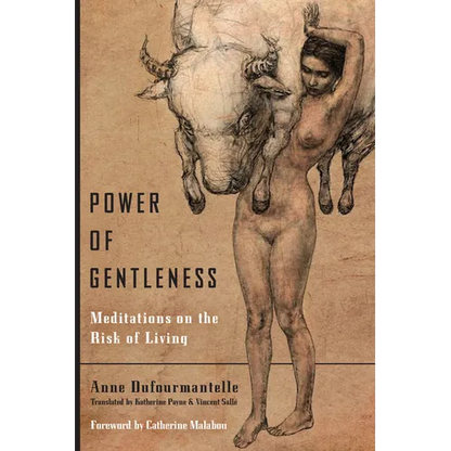 Power of Gentleness: Meditations on the Risk of Living - Paperback