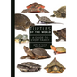 Turtles of the World: A Guide to Every Family - Hardcover