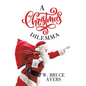 A Christmas Dilemma - Hardcover