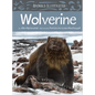 Animals Illustrated: Wolverine - Hardcover