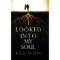 I Looked Into My Soul - Hardcover