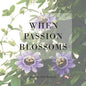 When Passion Blossoms - Paperback