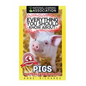 Everything You Should Know About: Pigs Faster Learning Facts - Paperback