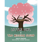 Little Owl & the Missing Sound - Paperback