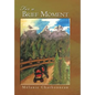 For a Brief Moment - Hardcover