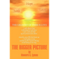 The Bigger Picture - Paperback