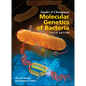 Snyder and Champness Molecular Genetics of Bacteria - Hardcover