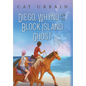 Diego, Whynd, and the Block Island Ghost - Hardcover