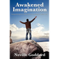 Awakened Imagination - Paperback