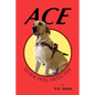Ace: Guide Dog Detective - Paperback