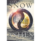 Snow Like Ashes - Paperback